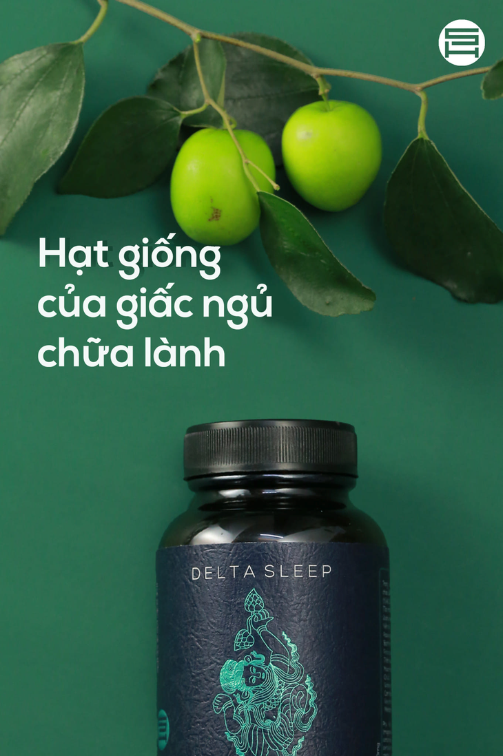 Ngủ ngon, ngủ sâu: Bí quyết từ hạt táo ta- Ảnh 2.