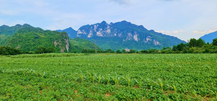 Đàn linh trưởng quý hiếm trở về với bản sau hàng chục năm vắng bóng- Ảnh 3. Đàn linh trưởng quý hiếm trở về với bản sau hàng chục năm vắng bóng- Ảnh 3.