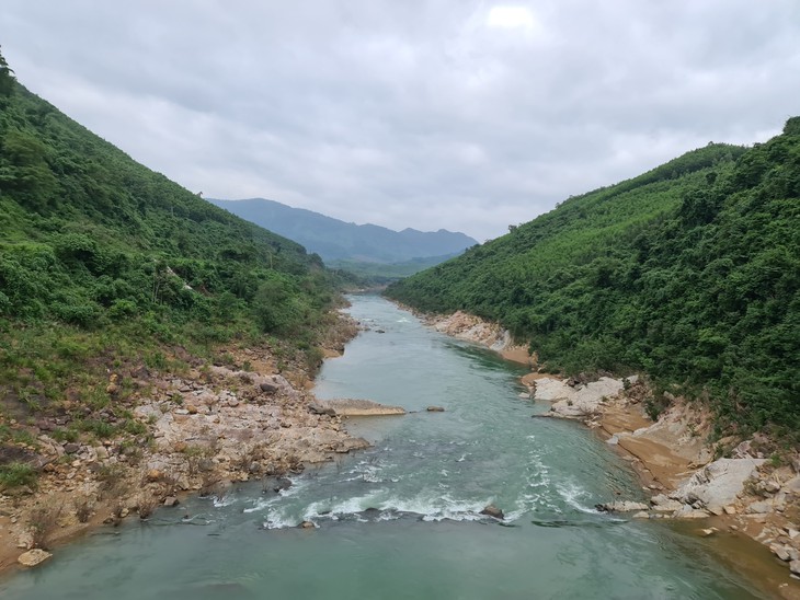 Đàn linh trưởng quý hiếm trở về với bản sau hàng chục năm vắng bóng- Ảnh 1. Đàn linh trưởng quý hiếm trở về với bản sau hàng chục năm vắng bóng- Ảnh 1.