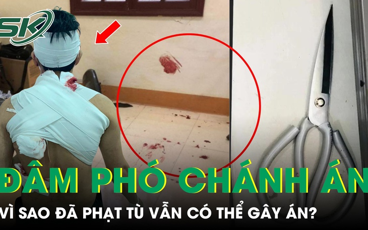 Vì sao nghi phạm đâm Phó Chánh án trọng thương đã bị phạt 3 năm tù vẫn có thể gây án?