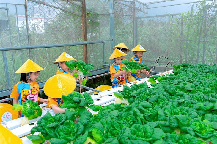 Trẻ thành thị háo hức làm nông dân trồng rau thủy canh- Ảnh 7.
