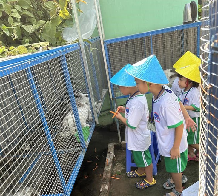 Trẻ thành thị háo hức làm nông dân trồng rau thủy canh- Ảnh 10.