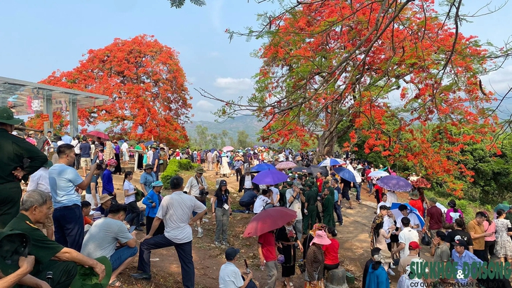 'Vượt nắng, thắng mưa' dòng người hướng về các điểm lịch sử Điện Biên Phủ- Ảnh 14. 'Vượt nắng, thắng mưa' dòng người hướng về các điểm lịch sử Điện Biên Phủ- Ảnh 14.