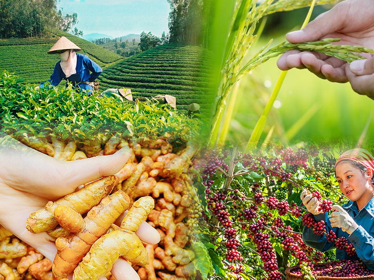 Xu hướng sử dụng bột thiên nhiên trong làm đẹp?- Ảnh 1. Xu hướng sử dụng bột thiên nhiên trong làm đẹp?- Ảnh 1.