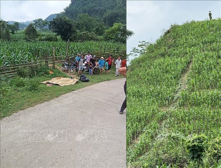 Xe máy lao xuống vực sâu ở Mai Châu, hai vợ chồng người Đức thương vong- Ảnh 1.