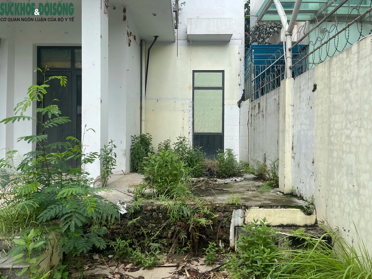 Cận cảnh hoang tàn của những căn biệt thự triệu đô trong Khu đô thị Xuân Phương- Ảnh 9. Cận cảnh hoang tàn của những căn biệt thự triệu đô trong Khu đô thị Xuân Phương- Ảnh 9.