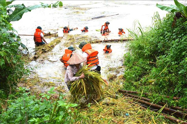 Từ 14-17/6 vùng núi và trung du Bắc Bộ có mưa to đến rất to, Thủ tướng chỉ đạo khẩn- Ảnh 1.