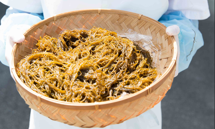 Lợi ích của chất Fucoidan từ tảo nâu Okinawa đối với sức khỏe- Ảnh 1.