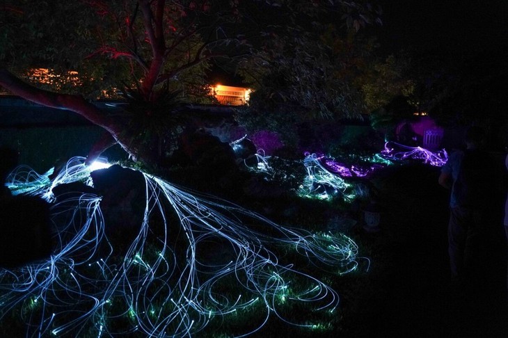 Du khách thích thú với 'Lễ hội ánh sáng' tại Tuần lễ Festival nghệ thuật Quốc tế Huế- Ảnh 10.