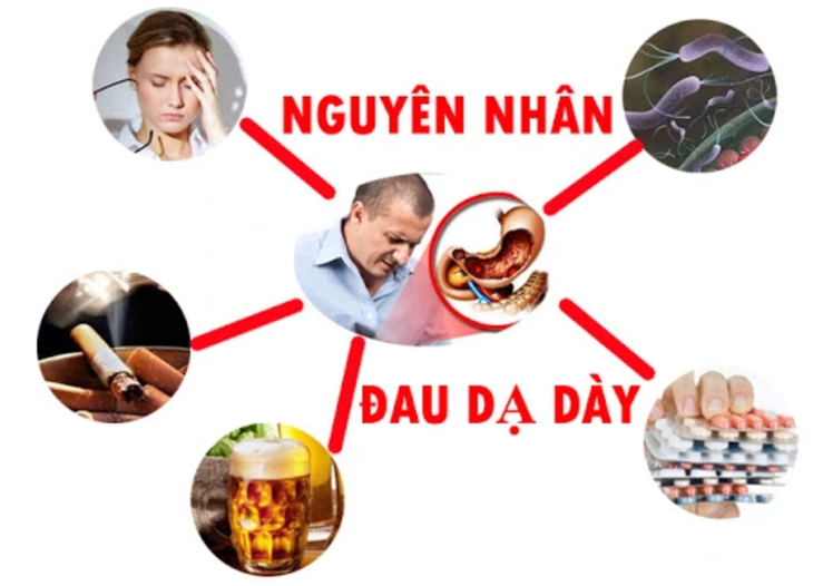 Viên dạ dày plus - Bước cải tiến mới giúp hỗ trợ giảm các triệu chứng dạ dày tá tràng từ sâu bên trong- Ảnh 1.