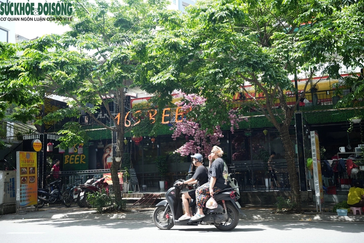 Hiện trạng 3 khu 'đất vàng' thu hồi xây trường học tại Hà Nội- Ảnh 6. Hiện trạng 3 khu 'đất vàng' thu hồi xây trường học tại Hà Nội- Ảnh 6.