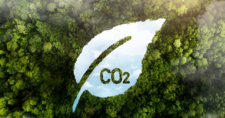 Bán tín chỉ carbon thu hàng trăm triệu USD, ai sẽ hưởng lợi?- Ảnh 2.