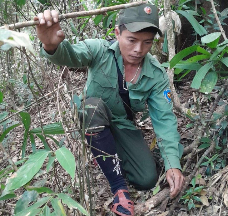Xuyên rừng sâu gỡ bẫy động vật quý hiếm ở Bắc Tây Nguyên- Ảnh 3.