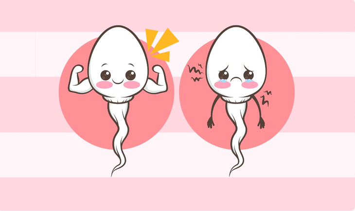 Tinh trùng sống được bao lâu sau khi quan hệ?- Ảnh 2. Tinh trùng sống được bao lâu sau khi quan hệ?- Ảnh 2.