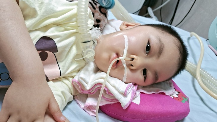 Xót xa hoàn cảnh bé gái suốt hơn 4 năm sống thực vật vì bệnh tật- Ảnh 1.