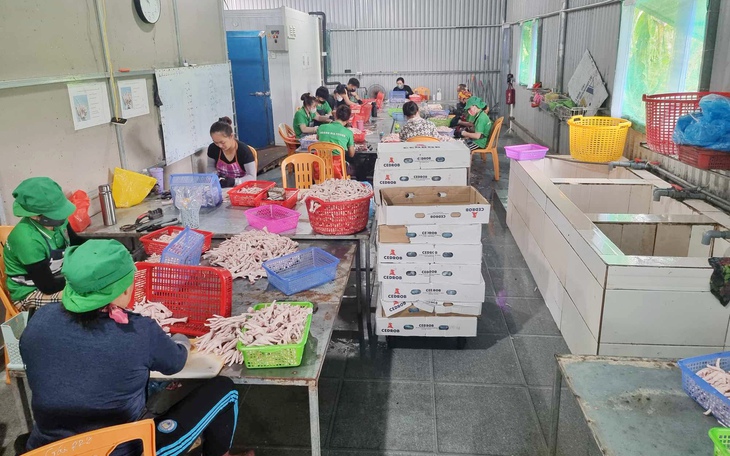 Hàng tấn thực phẩm không nguồn gốc bên trong căn nhà tôn luôn đóng kín cửa