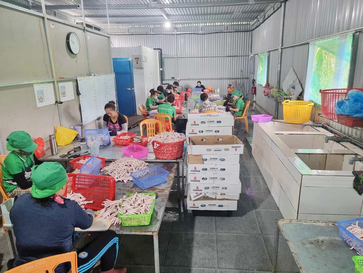 Hàng tấn thực phẩm không nguồn gốc bên trong căn nhà tôn luôn đóng kín cửa- Ảnh 2.