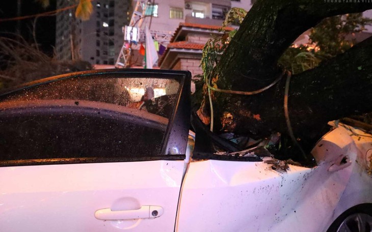 Hà Nội: Mưa kèm gió lớn khiến cây đổ đè lên nhiều ô tô