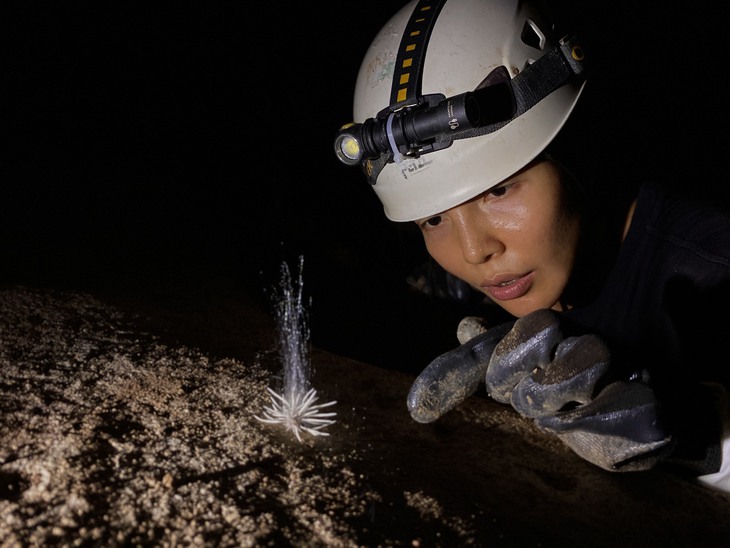 Những bí ẩn mới được 'phát lộ' trong các chuyến thám hiểm hang động ở Phong Nha- Ảnh 4. Những bí ẩn mới được 'phát lộ' trong các chuyến thám hiểm hang động ở Phong Nha- Ảnh 4.
