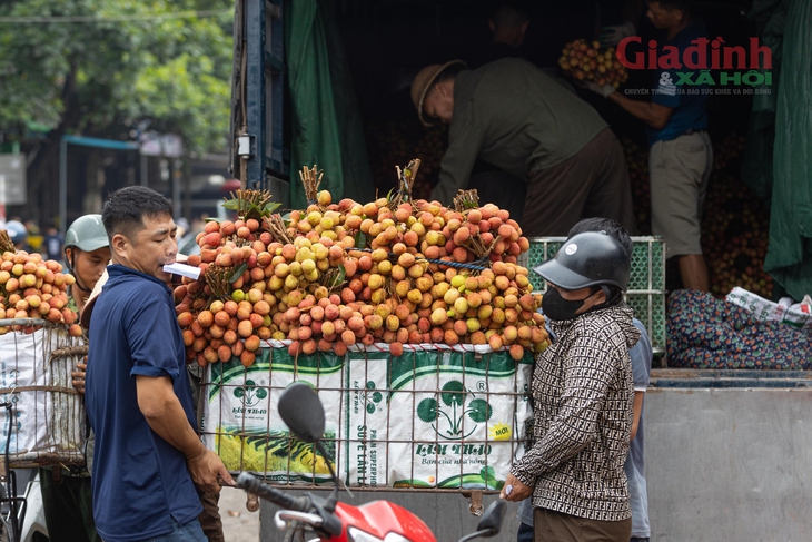 Người nông dân Bắc Giang khóc ròng vì vải thiều được giá lại mất mùa chưa từng có trong 30 năm- Ảnh 2.