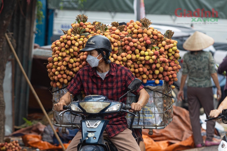 Người nông dân Bắc Giang khóc ròng vì vải thiều được giá lại mất mùa chưa từng có trong 30 năm- Ảnh 3.