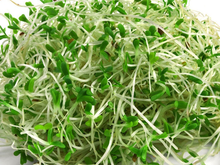 Rau mầm có thực sự tốt không?- Ảnh 2.