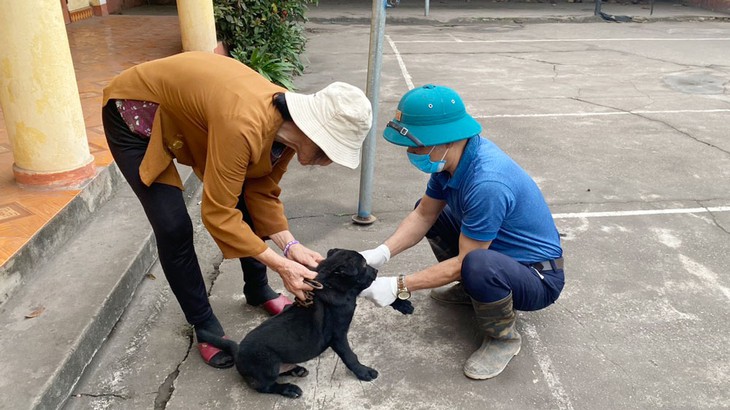 Chó không tiêm phòng dại, chủ nuôi sẽ bị xử phạt- Ảnh 2.