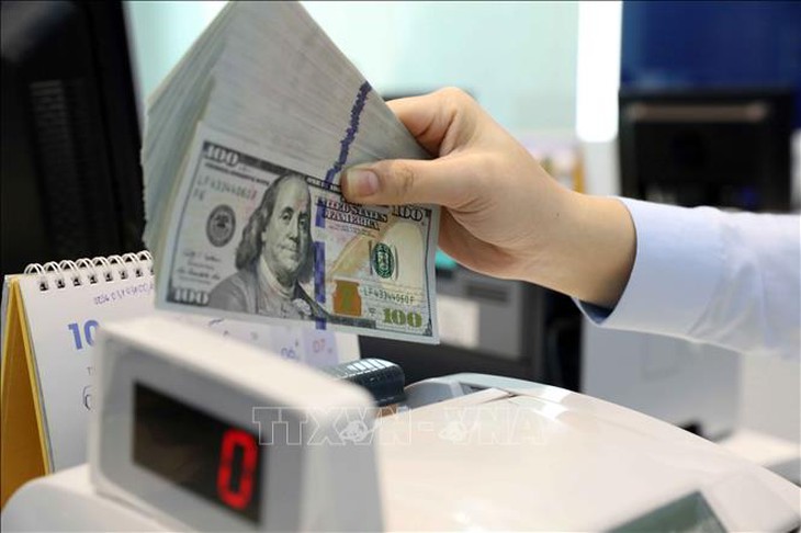 Dự báo tỷ giá sẽ hạ nhiệt- Ảnh 1.