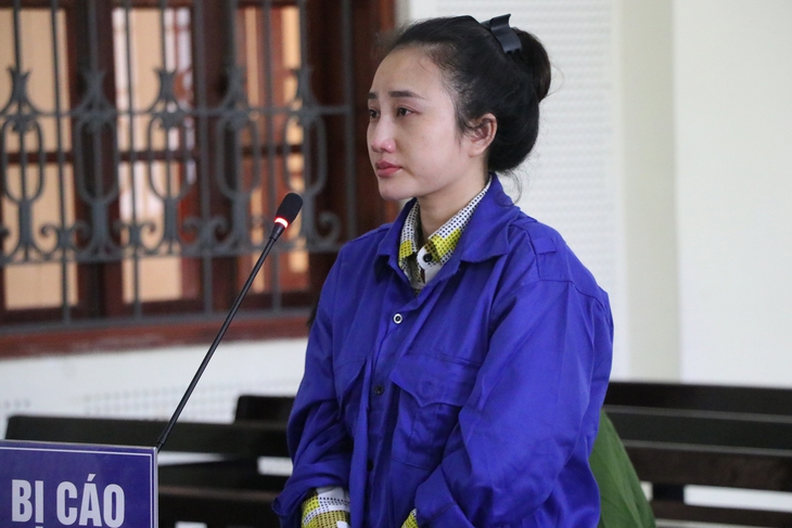 Lãnh án nặng vì tổ chức mang thai hộ nhằm mục đích thương mại- Ảnh 1.