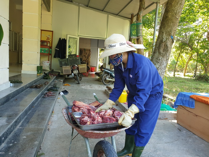 Cận cảnh 'Ông ba mươi' Đông Dương quý hiếm bậc nhất thế giới- Ảnh 8.