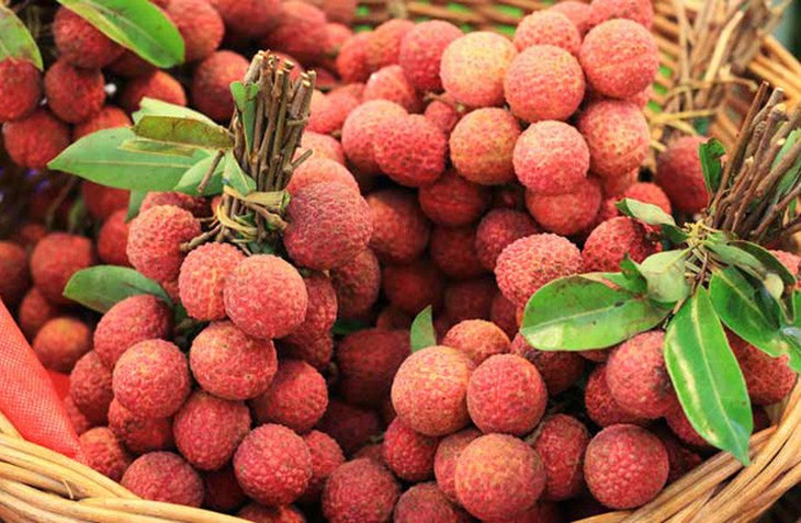 Nên ăn quả vải vào thời điểm nào để có lợi cho sức khỏe?- Ảnh 1. Nên ăn quả vải vào thời điểm nào để có lợi cho sức khỏe?- Ảnh 1.
