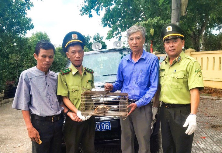 Hàng loạt cá thể động vật quý hiếm được giao nộp thả về tự nhiên- Ảnh 1. Hàng loạt cá thể động vật quý hiếm được giao nộp thả về tự nhiên- Ảnh 1.
