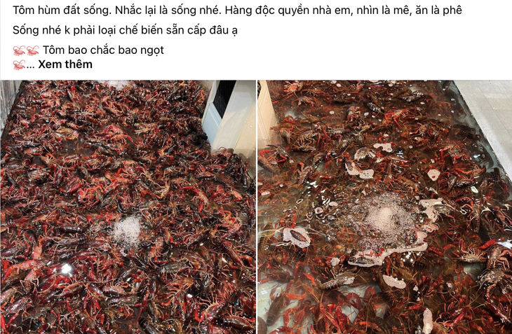 Tổng cục Hải quan yêu cầu chặn nhập khẩu sinh vật ngoại lai- Ảnh 1.