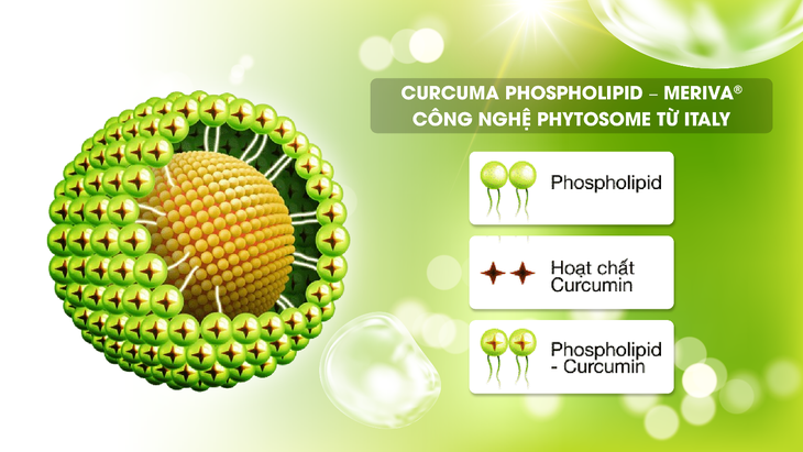 Giải pháp hỗ trợ từ Curcuma Phospholipid dành cho người viêm đại tràng- Ảnh 1.