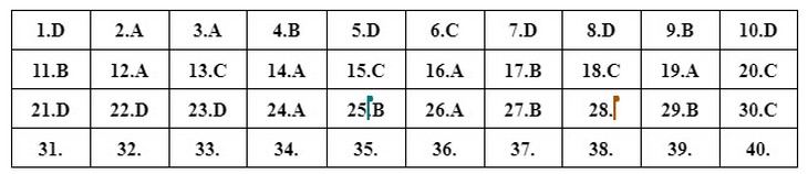Đáp án đề thi môn Vật lý tốt nghiệp THPT 2024 tất cả mã đề- Ảnh 2.