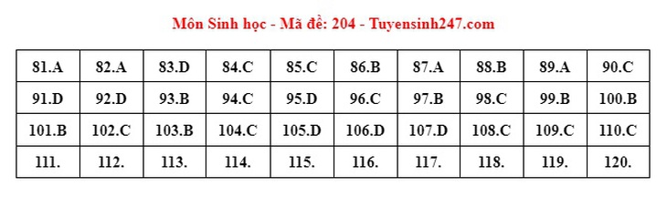 Đáp án đề thi môn Sinh học tốt nghiệp THPT 2024 tất cả mã đề- Ảnh 3.