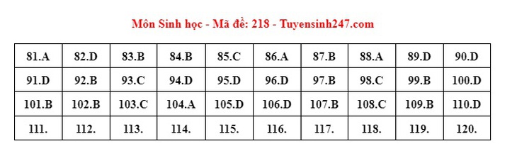 Đáp án đề thi môn Sinh học tốt nghiệp THPT 2024 tất cả mã đề- Ảnh 13.
