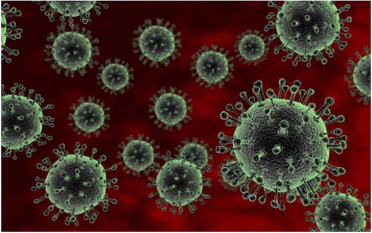 Phát hiện đặc tính mới khiến virus H5N1 dễ lây cho người