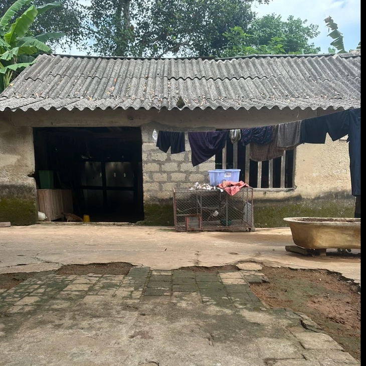 Lời khẩn cầu của người mẹ nghèo đơn thân nuôi con ung thư- Ảnh 3. Lời khẩn cầu của người mẹ nghèo đơn thân nuôi con ung thư- Ảnh 3.