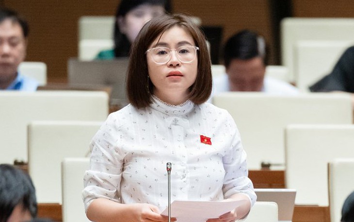 Nhiều ĐBQH tán thành bổ sung "dao có tính sát thương cao" vào nhóm vũ khí thô sơ