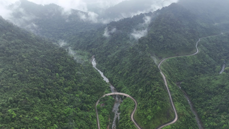 Di chuyển gần 50 km đường rừng để 'phá bẫy' cứu động vật hoang dã- Ảnh 1. Di chuyển gần 50 km đường rừng để 'phá bẫy' cứu động vật hoang dã- Ảnh 1.