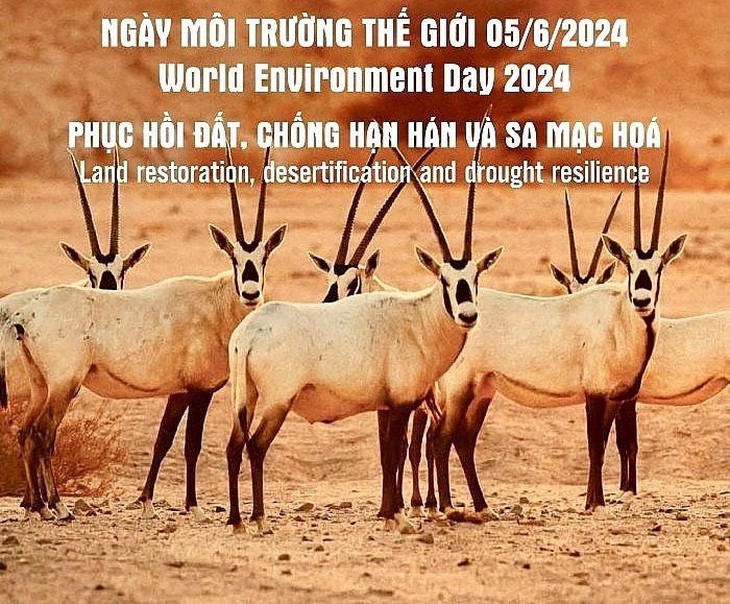 Ngày Môi trường thế giới 2024: Phục hồi đất, chống hạn hán và sa mạc hóa- Ảnh 2.