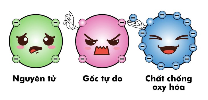 Stress oxy hóa thủ phạm của lão hóa nhanh và bệnh tật- Ảnh 1.