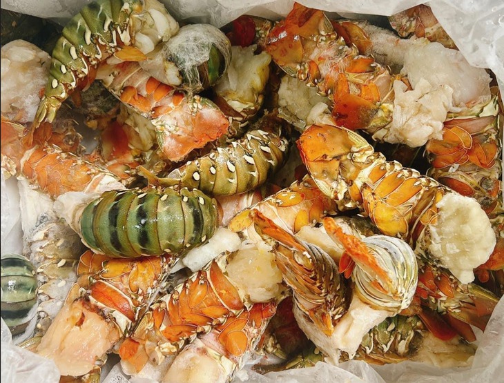 Tôm hùm bông cho nhà giàu đổ bộ chợ Hà Nội, giá siêu rẻ- Ảnh 1. Tôm hùm bông cho nhà giàu đổ bộ chợ Hà Nội, giá siêu rẻ- Ảnh 1.