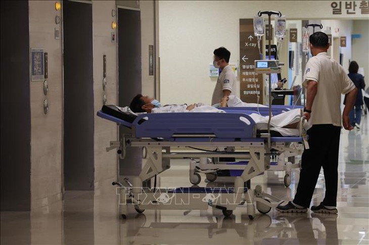 Hàn Quốc: Các giáo sư y khoa tiếp tục đình công- Ảnh 1.