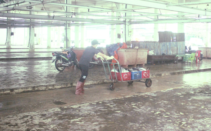 Nhọc nhằn mưu sinh từ công việc phân loại cá biển - Ảnh 3.