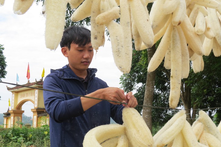 Ruột của loại quả tưởng vứt đi lại mang nguồn thu nhập khá cho nông dân- Ảnh 6.