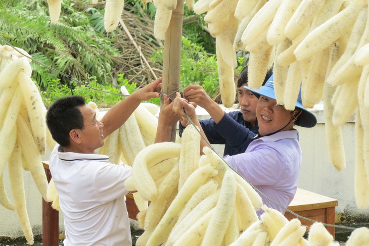 Ruột của loại quả tưởng vứt đi lại mang nguồn thu nhập khá cho nông dân- Ảnh 5.