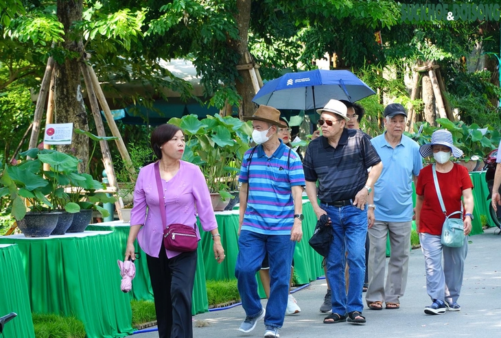 Người dân thích thú trải nghiệm Lễ hội Sen lần đầu có mặt tại Hà Nội- Ảnh 1. Người dân thích thú trải nghiệm Lễ hội Sen lần đầu có mặt tại Hà Nội- Ảnh 1.