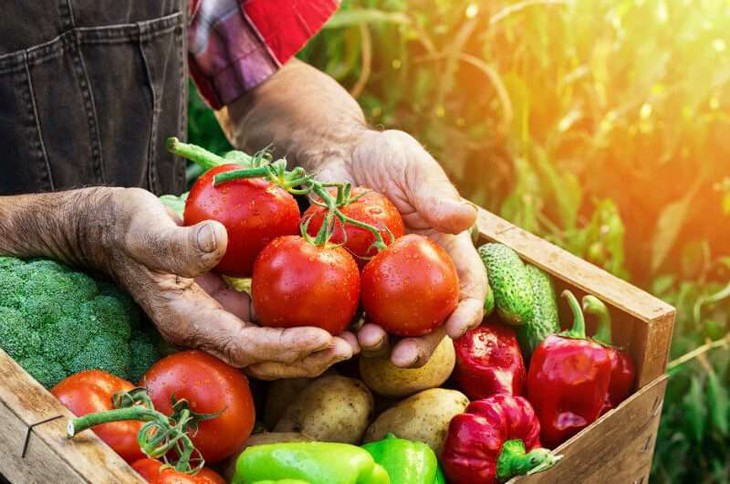 Ăn thực phẩm hữu cơ có giúp phòng ngừa ung thư không?- Ảnh 2.